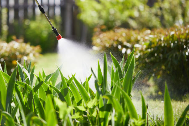24/7 Emergency Ant Control experts in Scottsboro, AL
